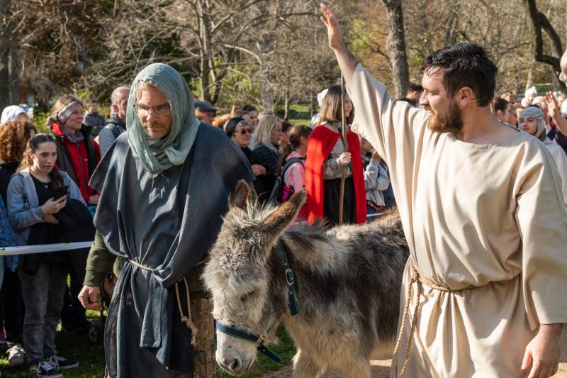 2024_03_24_tettye passio_23.jpg